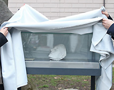 Vitrine beim Stifter-Denkmal in Linz