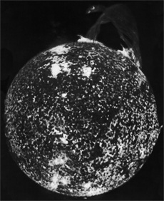 Protuberanzen