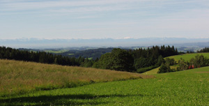 Mühlvierteler Waldlandschaft