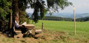 Mühlvierteler Waldlandschaft
