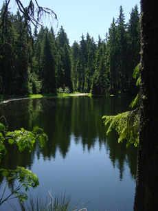 der Plöckensteinersee