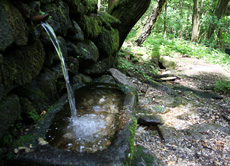 Kirchschlag:  die Rudolfsquelle